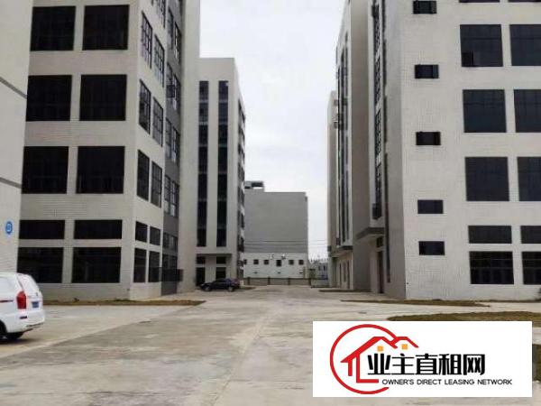  东坑厂房出租工业园区精装厂房水电配套齐全