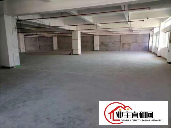  东坑厂房出租工业园区精装厂房水电配套齐全
