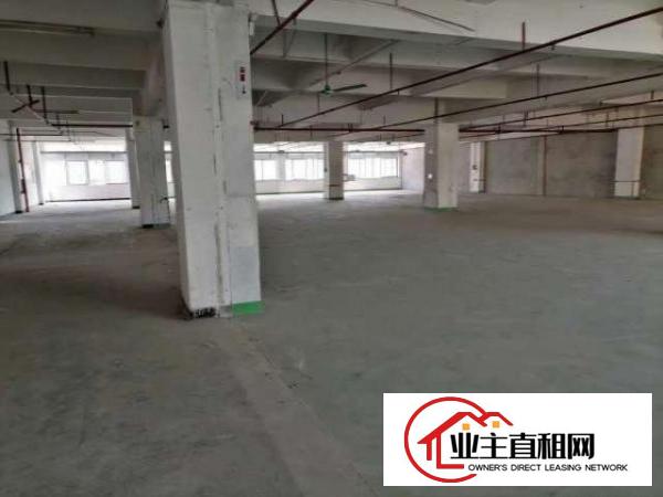  东坑厂房出租工业园区精装厂房水电配套齐全