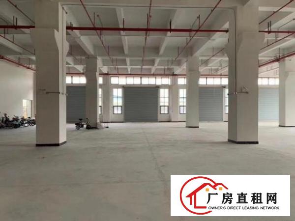  东坑全新科技园出租1000～2500m2