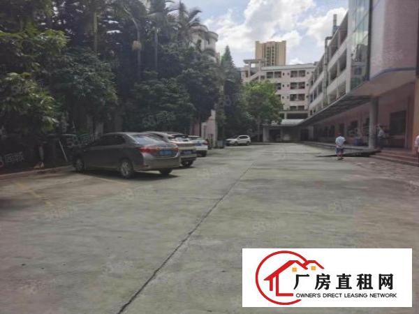 东坑镇红本双证花园式厂房招租工业用地可办环评