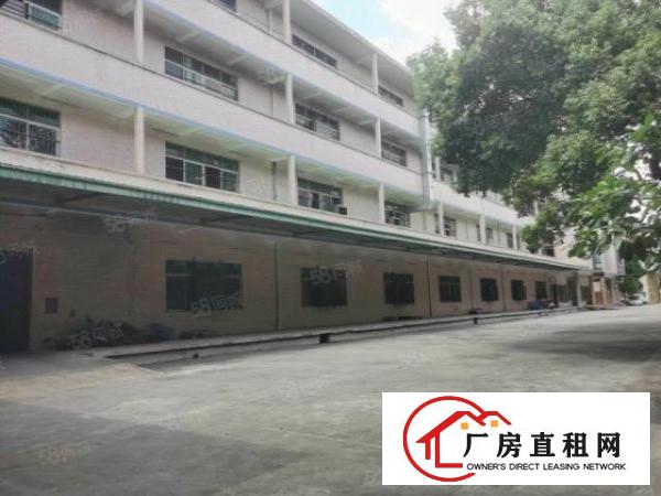  东坑镇红本双证花园式厂房招租工业用地可办环评
