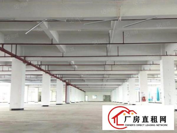  东坑镇红本双证花园式厂房招租工业用地可办环评