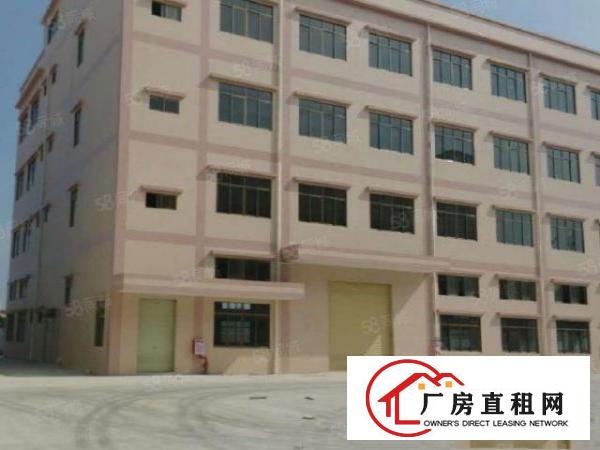  东坑塔岗分租一楼全新厂房1800平方出租，带喷淋消防