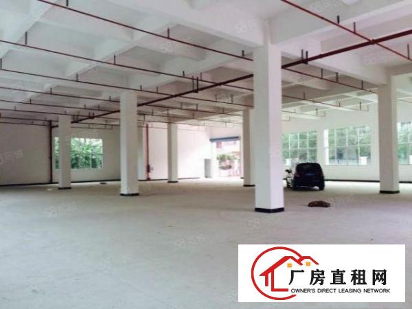  东坑塔岗分租一楼全新厂房1800平方出租，带喷淋消防