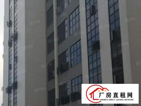  独门独院，空地大，标准工业厂房
