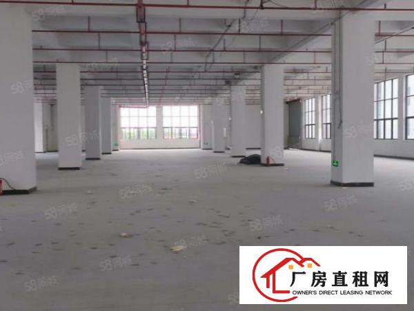  独门独院，空地大，标准工业厂房