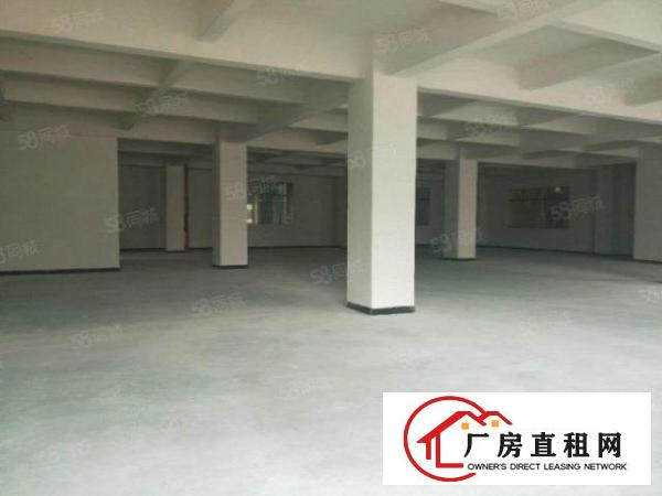  东坑镇新出独栋标准厂房