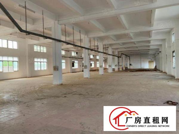  东坑新出带现成.喷油.喷漆.移印.注塑500平方起分