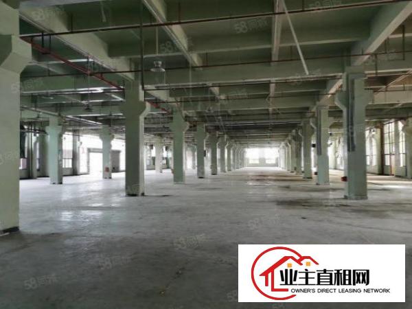  东坑国有证原房东独院厂房出租可分租一楼7米工业用地可办环评