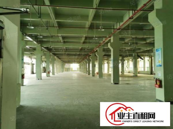  东坑国有证原房东独院厂房出租可分租一楼7米工业用地可办环评