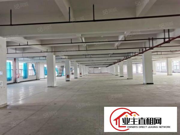  东坑国有证原房东独院厂房出租可分租一楼7米工业用地可办环评