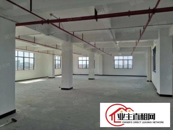  石排新出经典独院厂房可整可分租，4000平大空地，位置非常好
