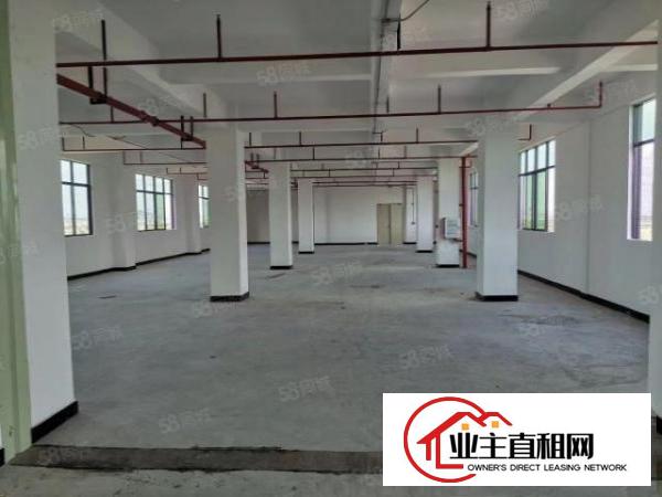  石排新出经典独院厂房可整可分租，4000平大空地，位置非常好