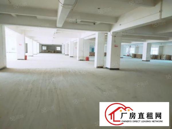  出租东坑彭屋红本厂房大小可分租可办环评周边无居民