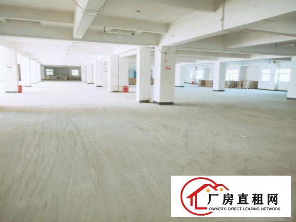 出租东坑彭屋红本厂房大小可分租可办环评周边无居民