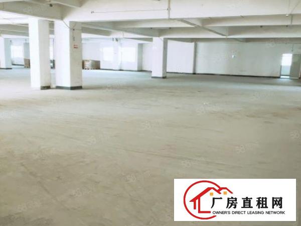  出租东坑彭屋红本厂房大小可分租可办环评周边无居民