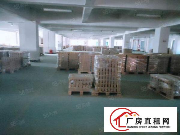  出租东坑彭屋红本厂房大小可分租可办环评周边无居民