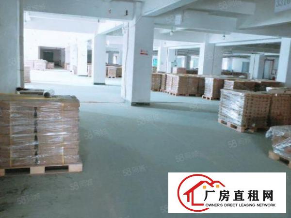  出租东坑彭屋红本厂房大小可分租可办环评周边无居民