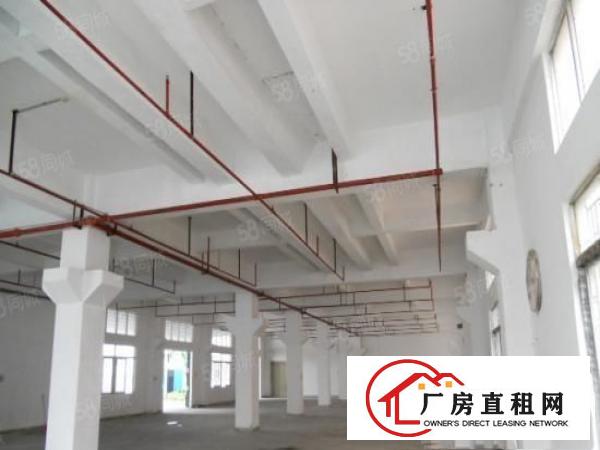  东坑镇原房东分租一楼2100平米出租