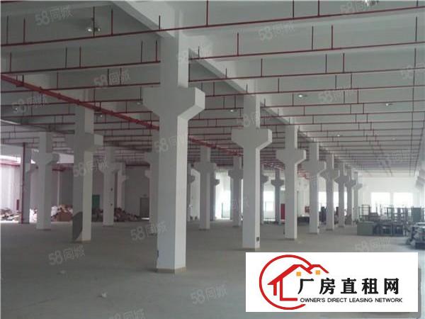  东坑镇原房东分租一楼2100平米出租
