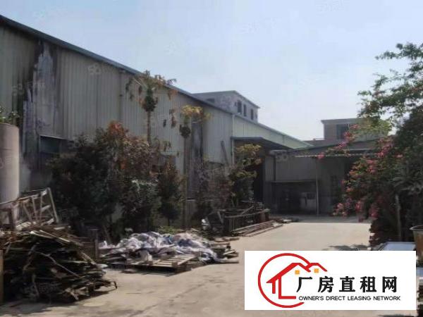  东坑镇新出经典小独院厂房1200平方可分租