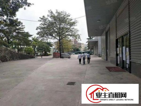  东坑镇原房东单一层独院3000平方出租