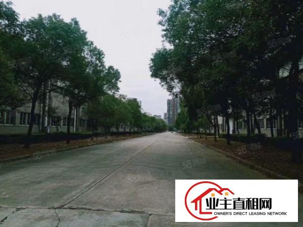  东坑镇独院单一层1100平方出租，水电齐全，周边无居民