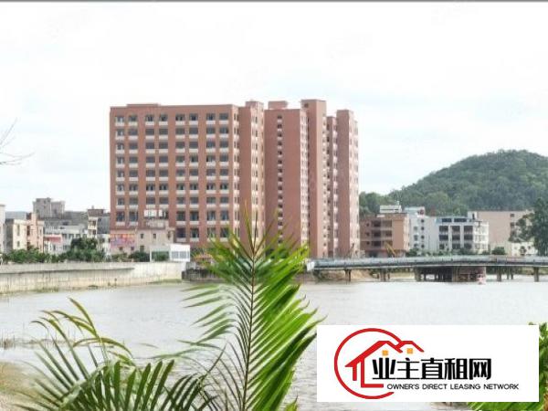  带红本工业园全新标准厂房出租一楼7.5高带牛角可分租工业地