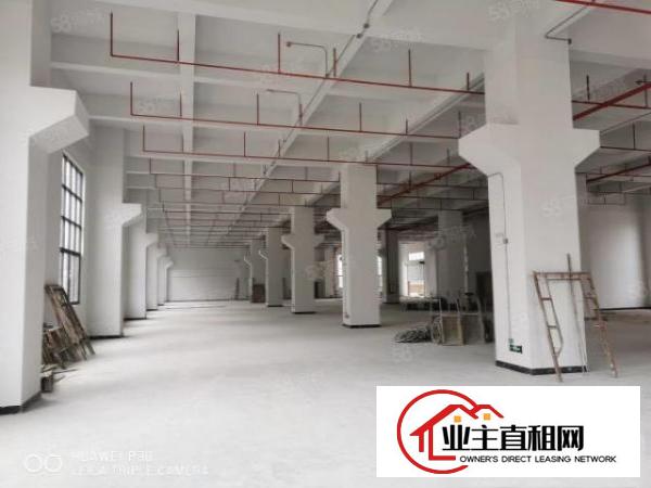  带红本工业园全新标准厂房出租一楼7.5高带牛角可分租工业地