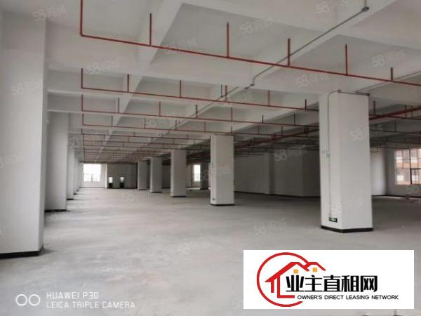  带红本工业园全新标准厂房出租一楼7.5高带牛角可分租工业地