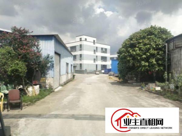 原房东独门独院标准厂房13F3600平方出租