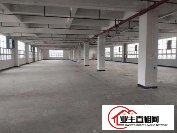  原房东独门独院标准厂房13F3600平方出租
