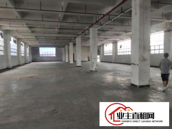  原房东独门独院标准厂房13F3600平方出租