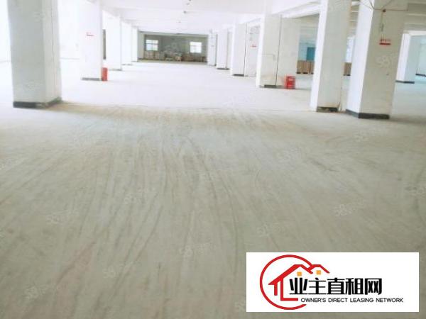  东坑全新装修红本厂房250平工业用地可办环评空地大