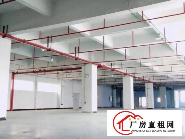  独门独院，精装修标准全新厂房，交通便利，易招工，可办环评