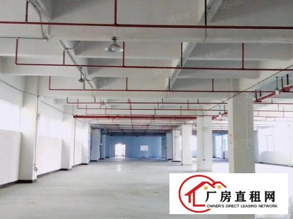  独门独院，精装修标准全新厂房，交通便利，易招工，可办环评
