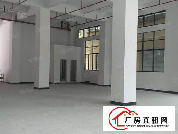  独门独院，精装修标准全新厂房，交通便利，易招工，可办环评
