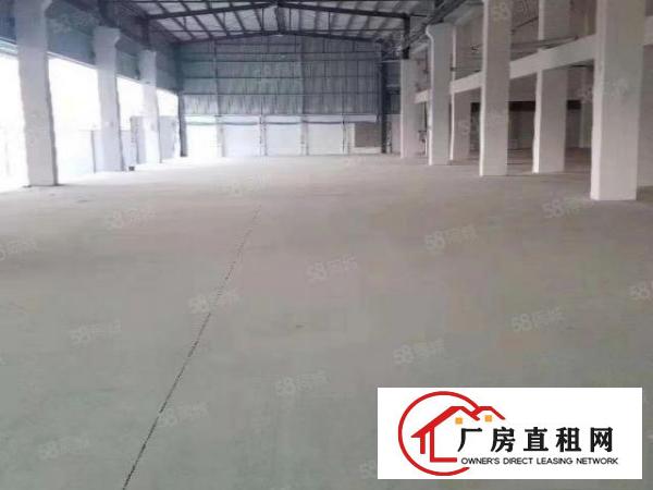  东坑迎宾路新空厂房600平全新绿地漆带货梯及消防喷淋