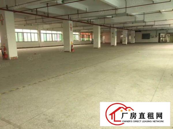  东莞东坑原房东独院厂房分租二楼800平米出租现成装修