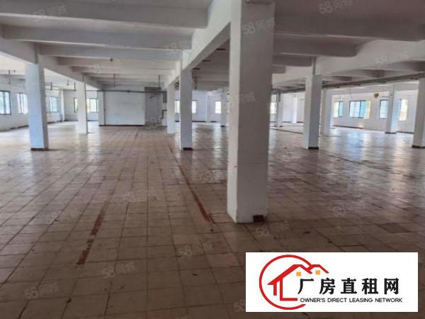  （出租）东坑镇无公摊楼上带装修厂房招租
