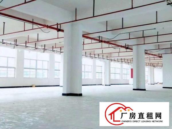  东坑镇原房东大型工业园区厂房楼上2200平方整层出租