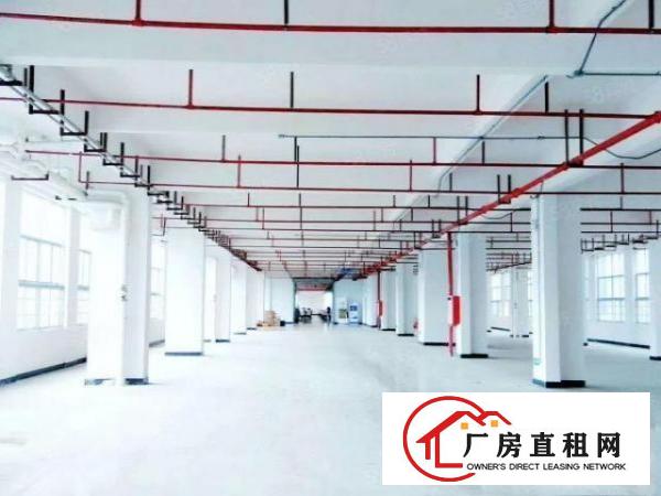  东坑镇原房东大型工业园区厂房楼上2200平方整层出租