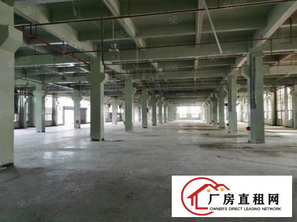  东坑国有证原房东独院厂房出租可分租一楼7米工业用地可办环评