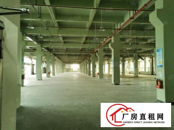  东坑国有证原房东独院厂房出租可分租一楼7米工业用地可办环评