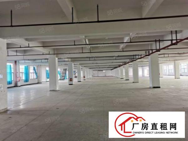  东坑国有证原房东独院厂房出租可分租一楼7米工业用地可办环评