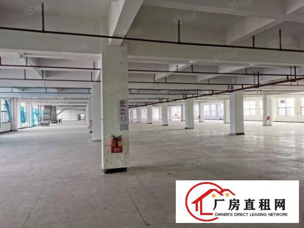  东坑国有证原房东独院厂房出租可分租一楼7米工业用地可办环评