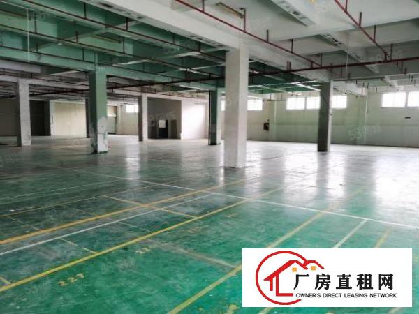  重工业福音东坑原房东红本厂房全新装修可做电子灯饰五金