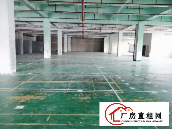  重工业福音东坑原房东红本厂房全新装修可做电子灯饰五金