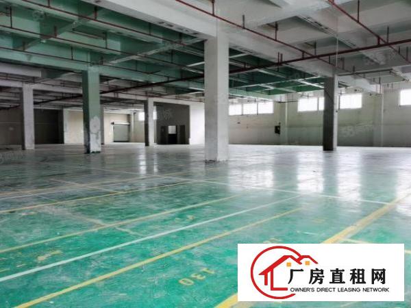  重工业福音东坑原房东红本厂房全新装修可做电子灯饰五金